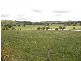 # Sweeny’s Lane, Dumbalk VIC 3956