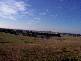 # NICHOLLS ROAD, Mardan VIC 3953