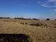 # NICHOLLS ROAD, Mardan VIC 3953