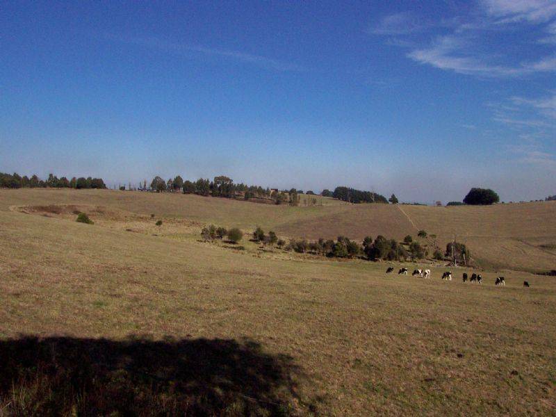 # NICHOLLS ROAD, Mardan VIC 3953
