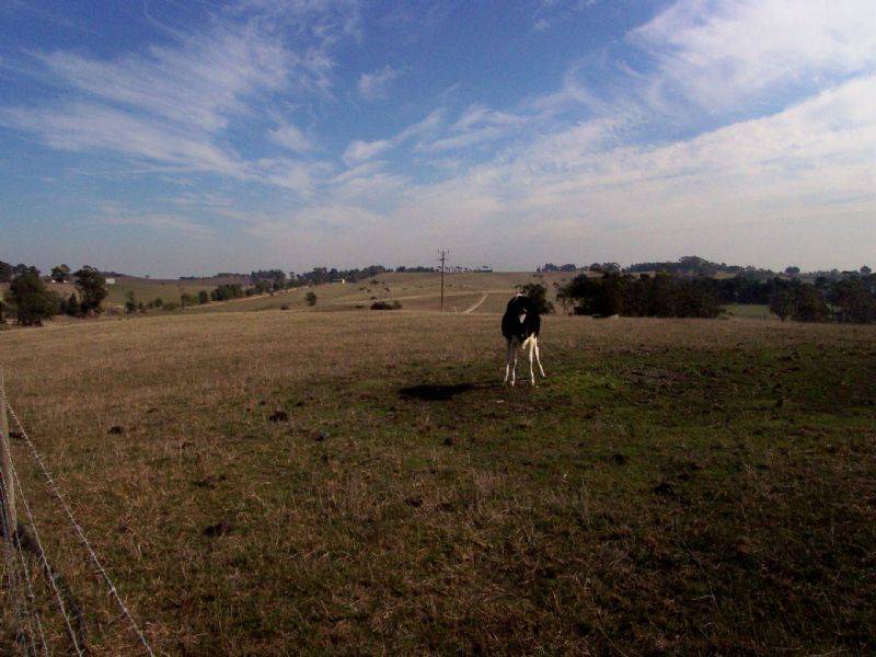 # NICHOLLS ROAD, Mardan VIC 3953