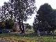 # NICHOLLS ROAD, Mardan VIC 3953
