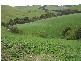 2810 South Gippsland Highway, Stony Creek VIC 3957