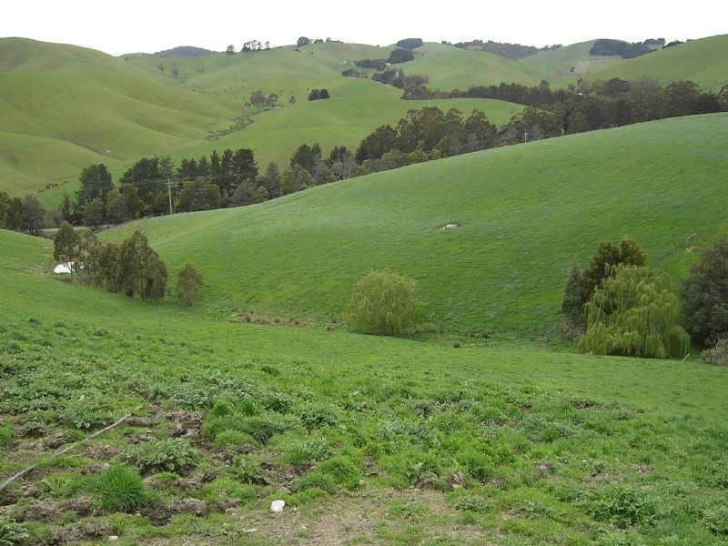 2810 South Gippsland Highway, Stony Creek VIC 3957