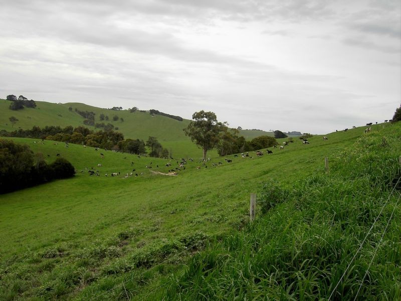 2810 South Gippsland Highway, Stony Creek VIC 3957