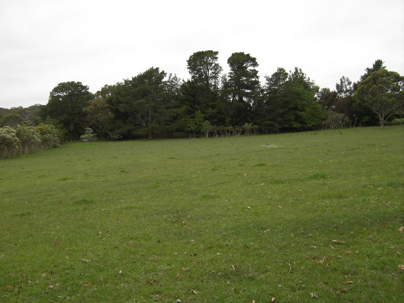 Lot 0 Buffalo Stony Creek Rd, Buffalo VIC 3958