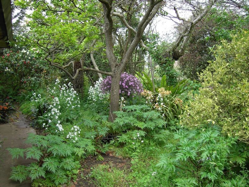 18 Davison, Leongatha VIC 3953