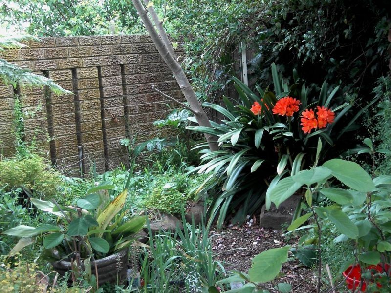 18 Davison, Leongatha VIC 3953