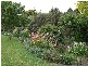 8 Bent, Leongatha VIC 3953