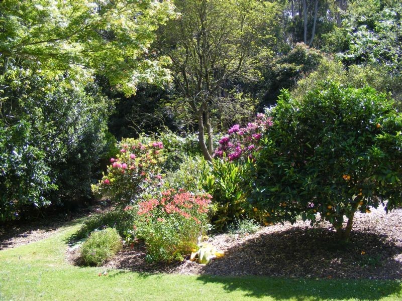 15 Palmross Road, Leongatha VIC 3953