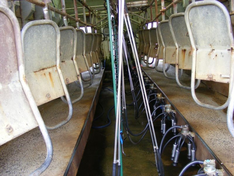 670 Stony Creek-Dollar Road, Stony Creek VIC 3957