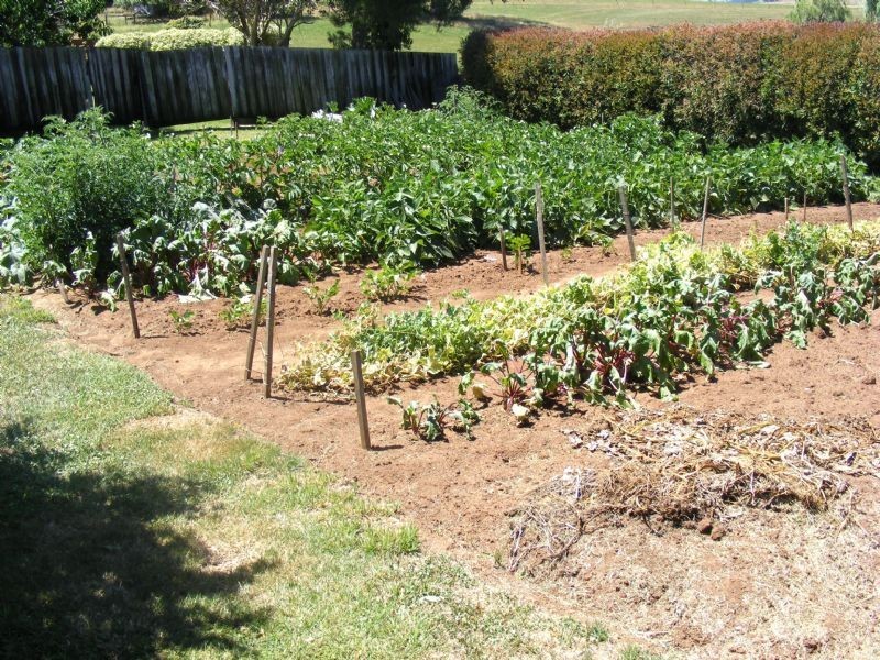 Lot 2 Farmers Road, Dumbalk VIC 3956