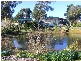 1445 Meeniyan-Mirboo North Road, Dumbalk VIC 3956