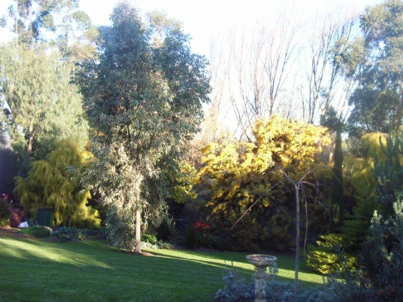 26 Higg Street, Leongatha VIC 3953