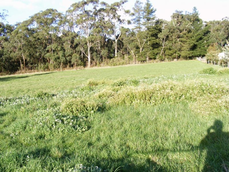 Lot 6 Manna Court, Koonwarra VIC 3954