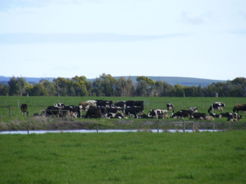 300 Buffalo -Waratah Road, Buffalo VIC 3958