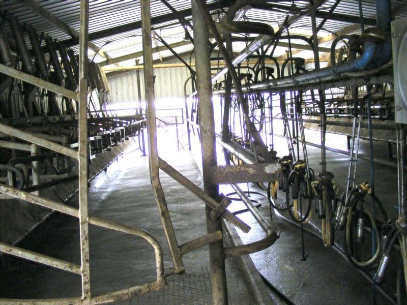 300 Buffalo -Waratah Road, Buffalo VIC 3958