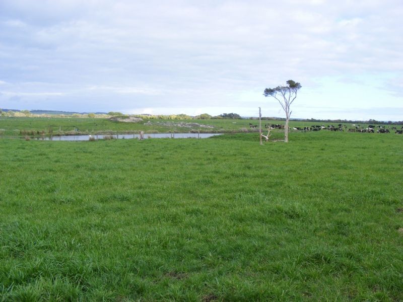 300 Buffalo -Waratah Road, Buffalo VIC 3958