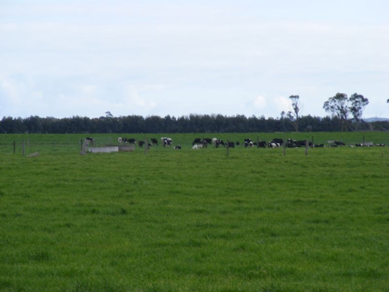 300 Buffalo -Waratah Road, Buffalo VIC 3958