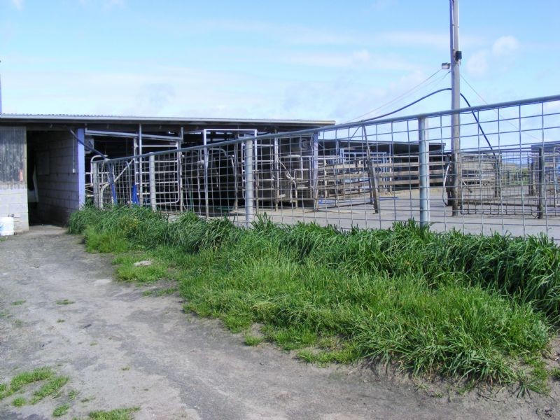 270 Miller Road, Yanakie VIC 3960