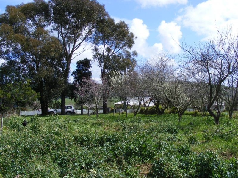 38 Miller Street, Dumbalk VIC 3956