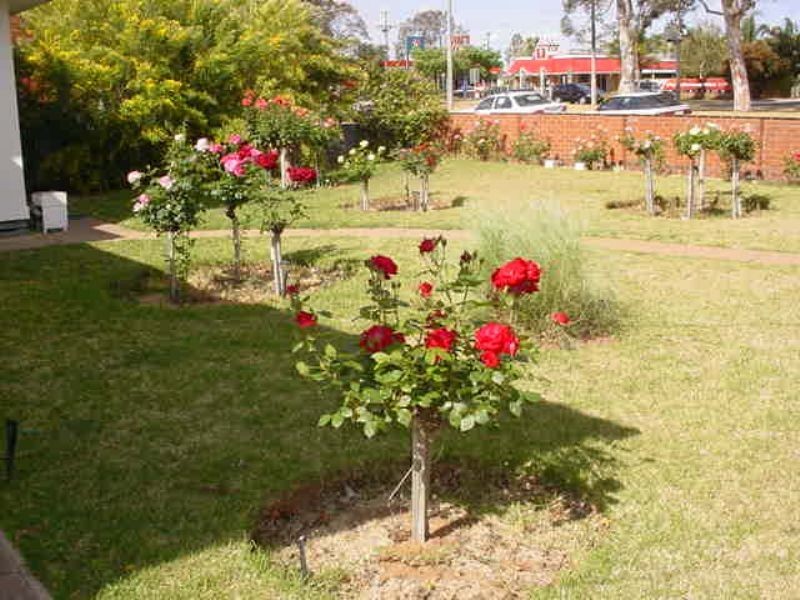 227 Deakin Avenue, Mildura VIC 3500