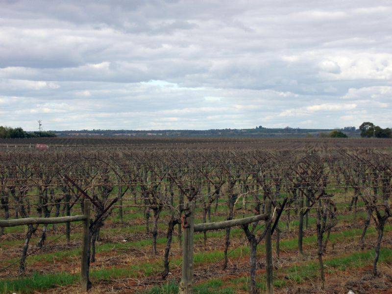 Lot 2 Cureton Avenue, Kings Billabong, Nichols Point VIC 3501