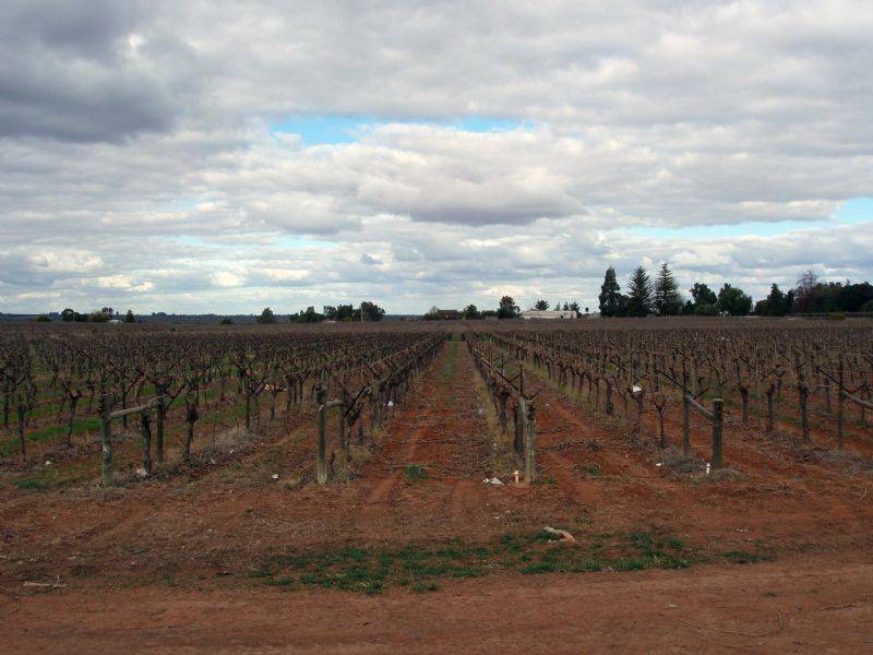 Lot 2 Cureton Avenue, Kings Billabong, Nichols Point VIC 3501