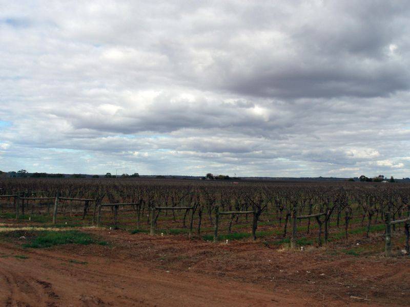 Lot 2 Cureton Avenue, Kings Billabong, Nichols Point VIC 3501