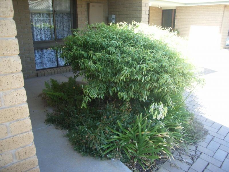 1/13 Plant Court, Mildura VIC 3500