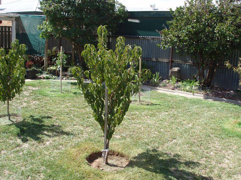 1090 Benetook Avenue, Mildura VIC 3500