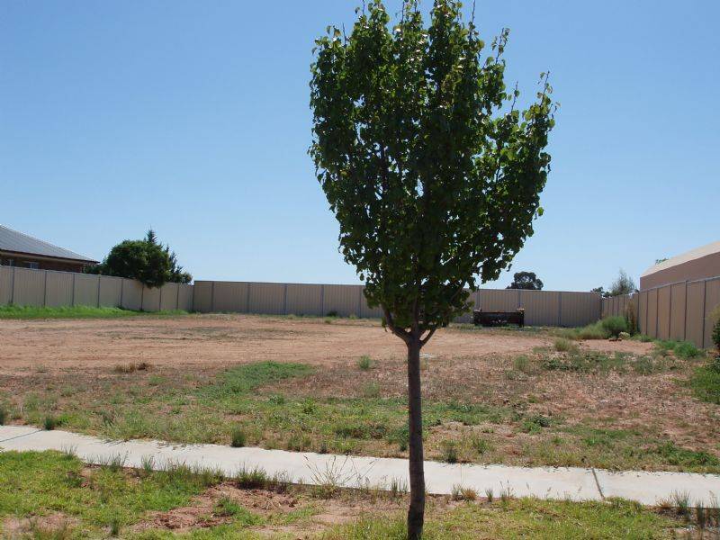 10 Nabila Court, Mildura VIC 3500