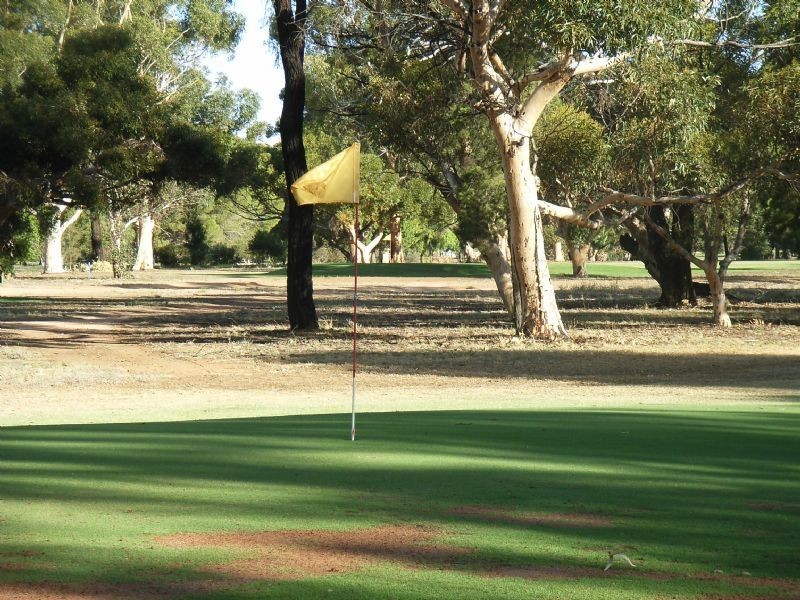 0 Golf Links Estate, Robinvale VIC 3549