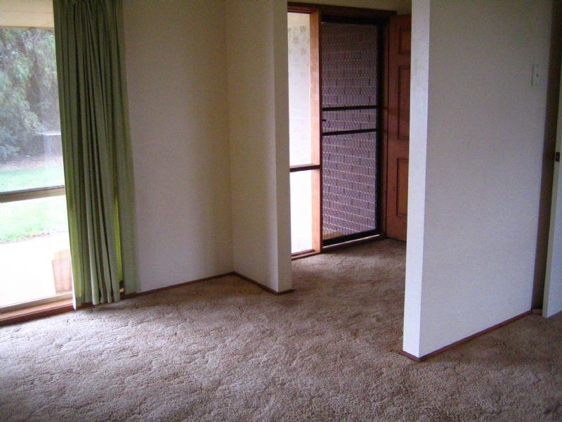 195 Hakea Street, Red Cliffs VIC 3496