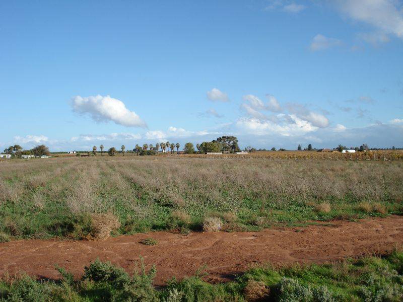 19 & 19E Third Street, Myall Lane, Merbein VIC 3505