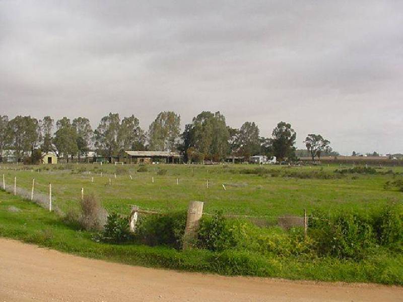 Lot 4 Cootamundra Avenue, Red Cliffs VIC 3496