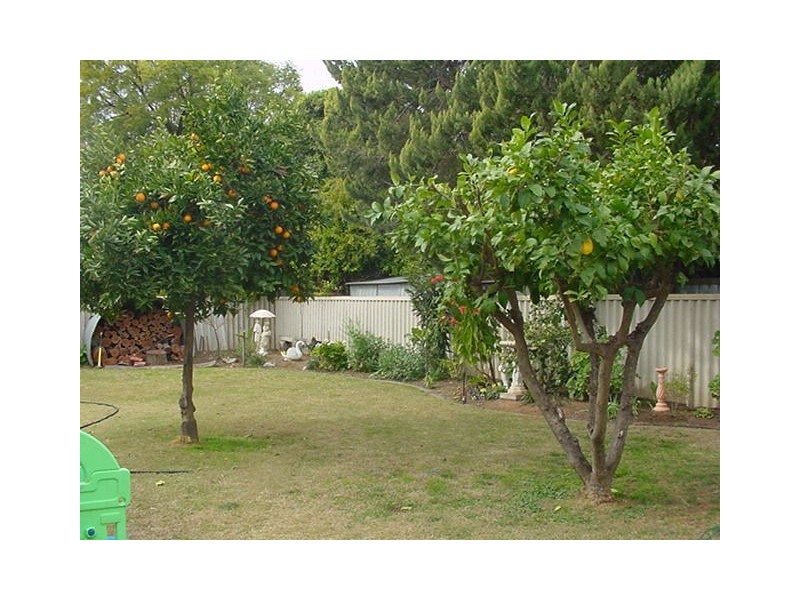 2 Caloola Court, Mildura VIC 3500