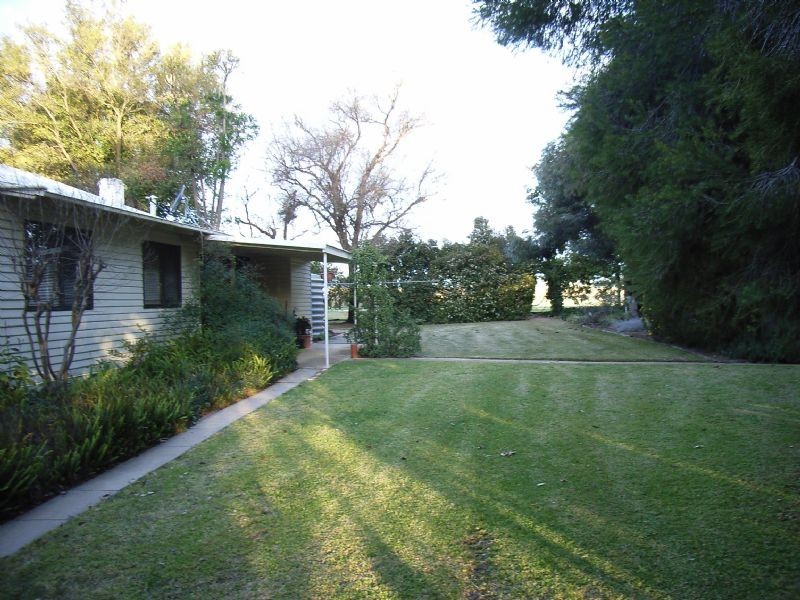 220 Darwin Road, Robinvale VIC 3549