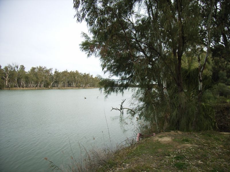 1588 Murray Road, Curlwaa NSW 2648