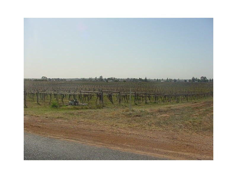 Block 44 Game Street, Merbein VIC 3505