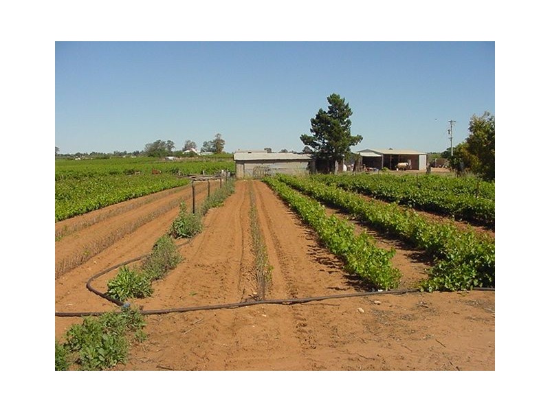 180a Hakea Street, Red Cliffs VIC 3496