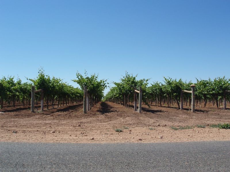 Lot 59 Fern Avenue, Irymple VIC 3498