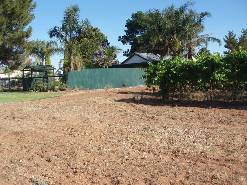 80 School Road, Dareton NSW 2717