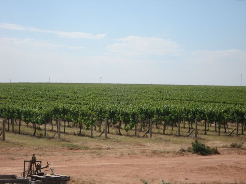 Btwn Paschendale Avenue & Meridian Road, Merbein VIC 3505