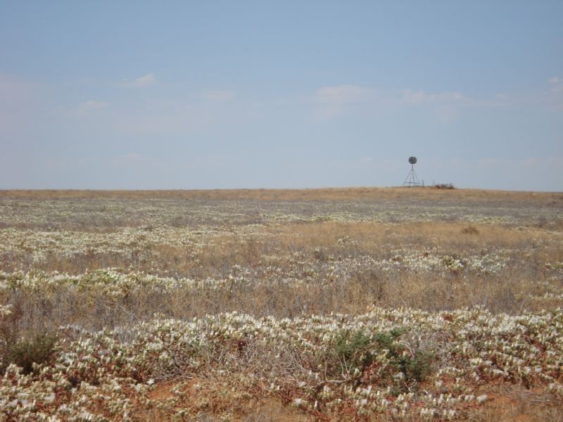 Btwn Paschendale Avenue & Meridian Road, Merbein VIC 3505