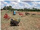 0 Clearing Auction – 220 Darwin Road, Robinvale VIC 3549