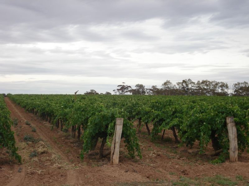 Lots 1 & 2 Ash Avenue, Mildura VIC 3500