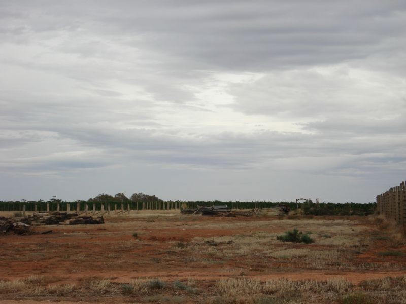 Block 21 Walnut Avenue, Mildura VIC 3500