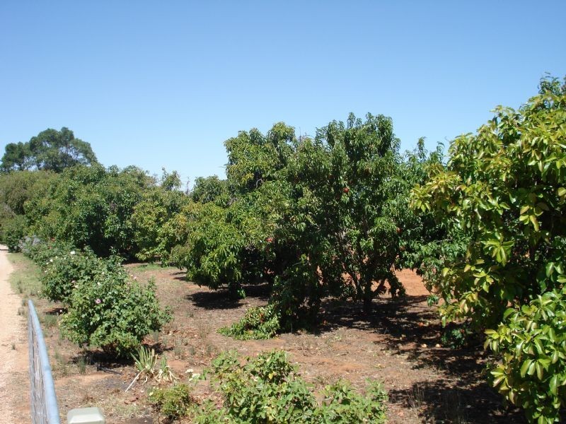 453 Wentworth Road, Yelta VIC 3505