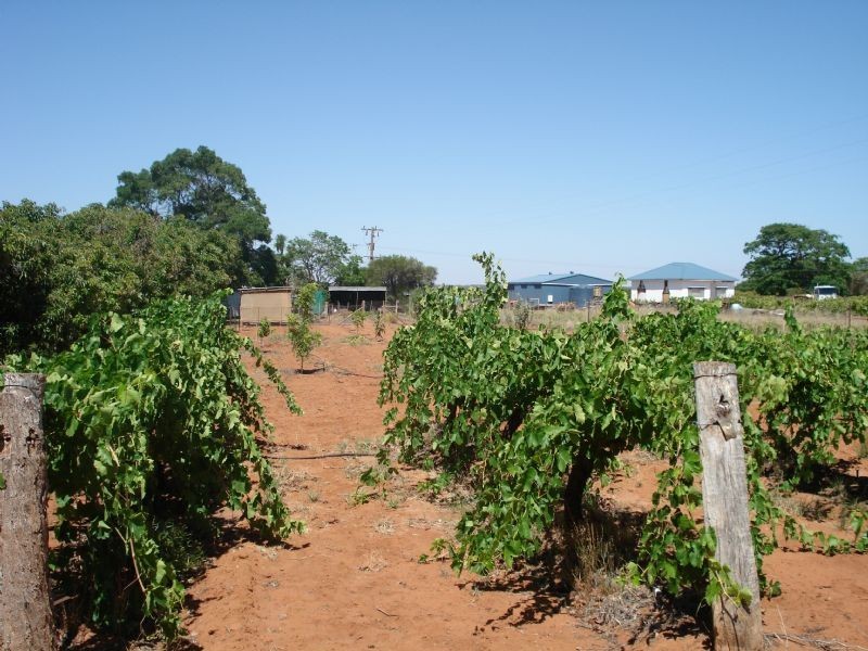 453 Wentworth Road, Yelta VIC 3505